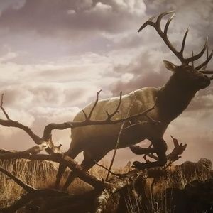 Meet your Posher, Guy